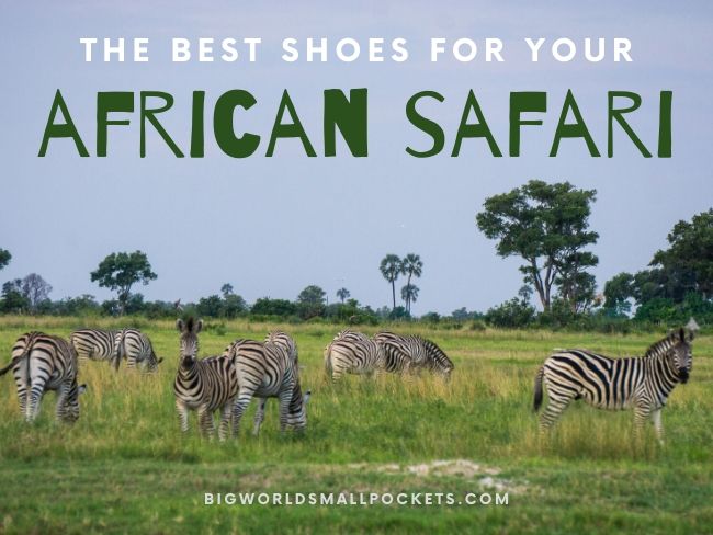 Best Safari Shoes