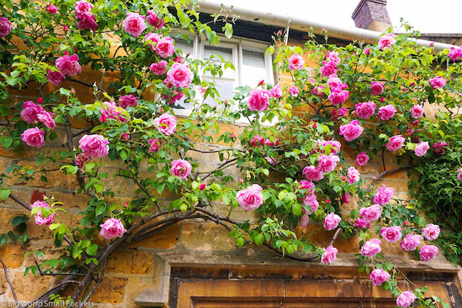 UK, Cotswolds, Rose Cottage