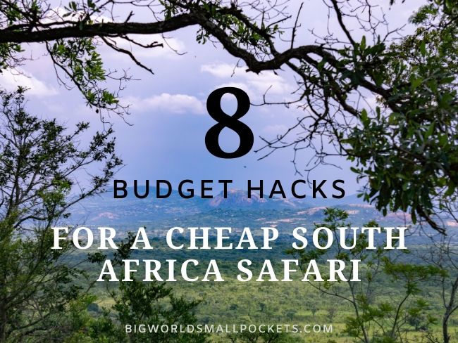 8 Tips for a Budget South Africa Safari