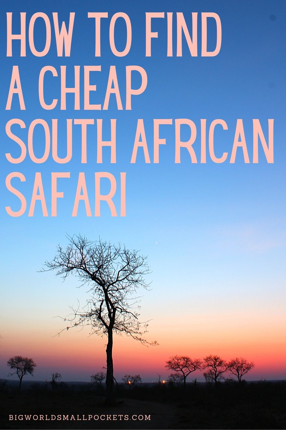 How To Book a Cheap South Africa Safari
