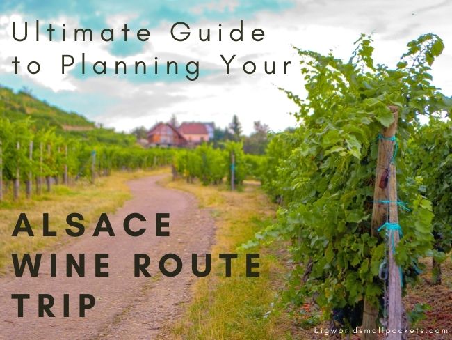 Ultimate Guide to Planning Your Alsace Wine Route Trip