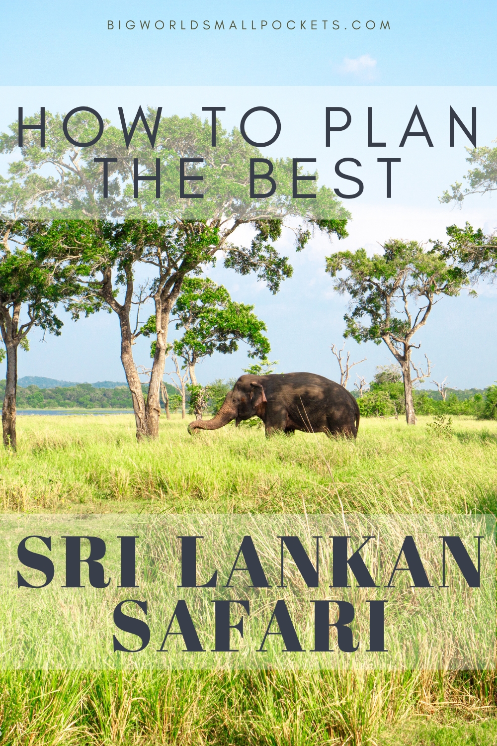 How to Plan the Best Sri Lankan Safari